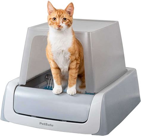 best cat litter box 2022.